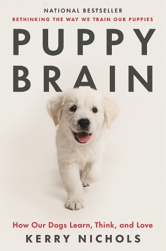Kerry nichols puppy - kerry,
