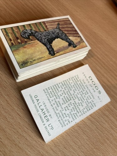 1936 gallaher dogs - dogs,