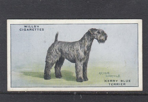1937 wills dogs kerry blue - 1937,