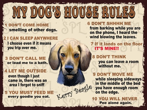 Dog house rules kerry - dog's,