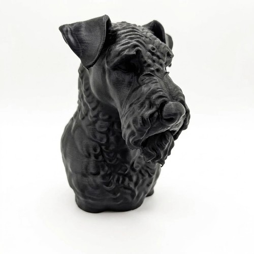 Kerry blue terrier - terrier,
