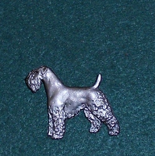 Kerry blue terrier - kerry,