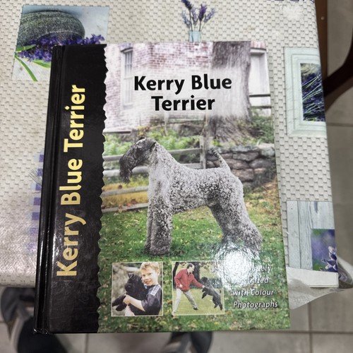 Kerry blue terrier - kerry, love