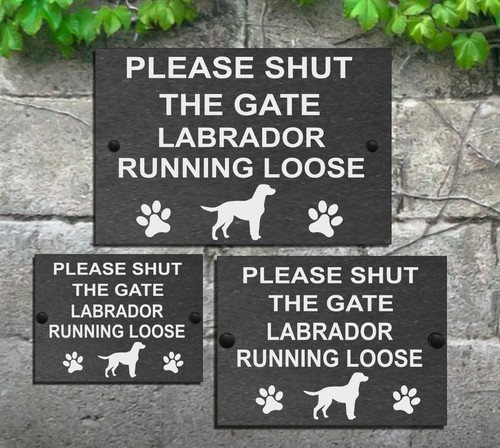 Please shut the - please, gate