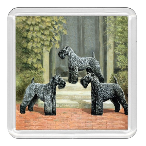 Kerry blue terrier dog acrylic - dog,