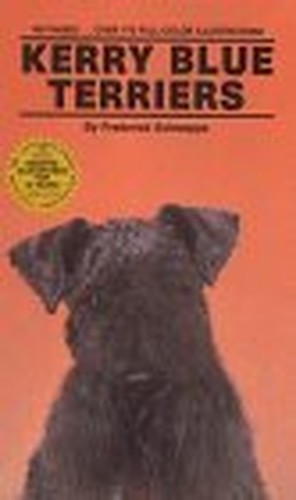 Kerry blue terriers - terriers, by
