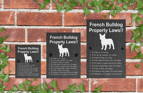 Property laws funny dog slate - laws,