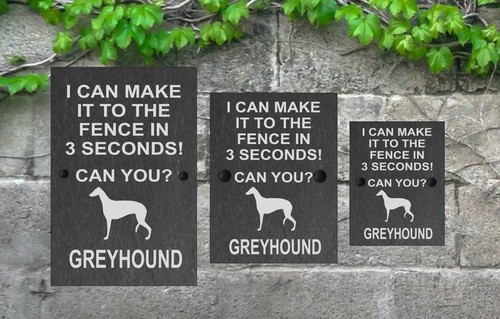Dog slate gate - gate, make