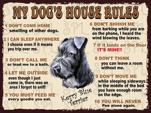 Dog house rules - house,
