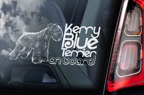 Kerry blue terrier sticker - terrier,