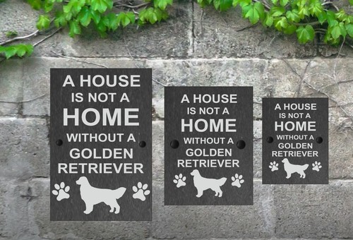House not home dog - house, is