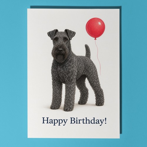 Kerry blue terrier - kerry,