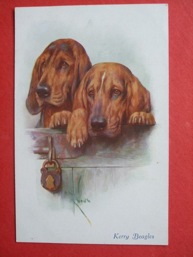 Arthur wardle dog kerry - wardle,