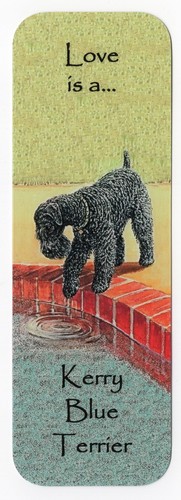 Kerry blue terrier - blue, dog