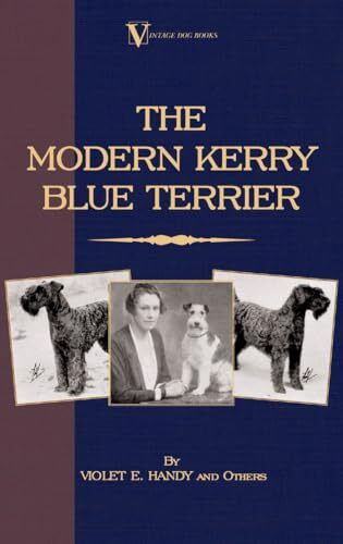 Handy modern kerry - handy,