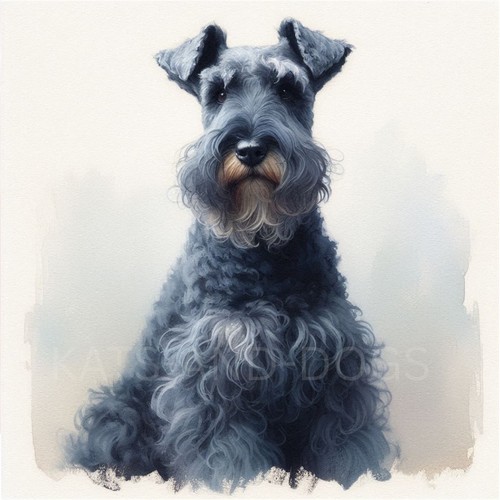 Kerry blue terrier - terrier, watercolour