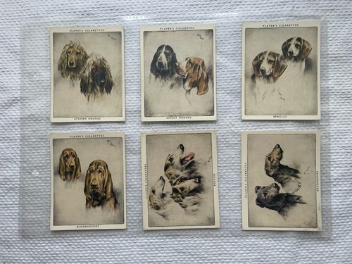 Players 1940 dogs heads - -,