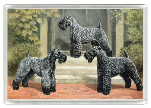 Kerry blue terrier dog fridge - terrier,