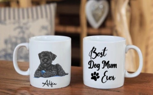 Kerry blue terrier - blue,