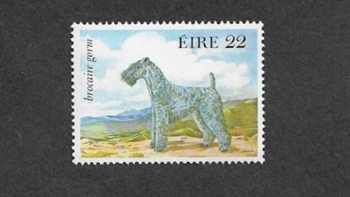 Dogs kerry blue terrier 1983 - kerry,