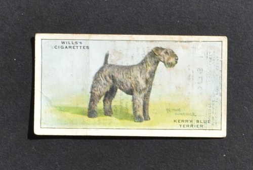 1937 wills dogs - 1937, wills's