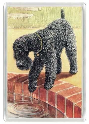 Kerry blue terrier dog - blue, fridge