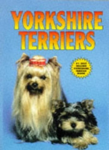 Yorkshire terriers kerry - yorkshire, (kw)-kerry