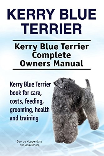 Kerry blue terrier - blue,