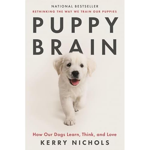Puppy brain how - :, dogs